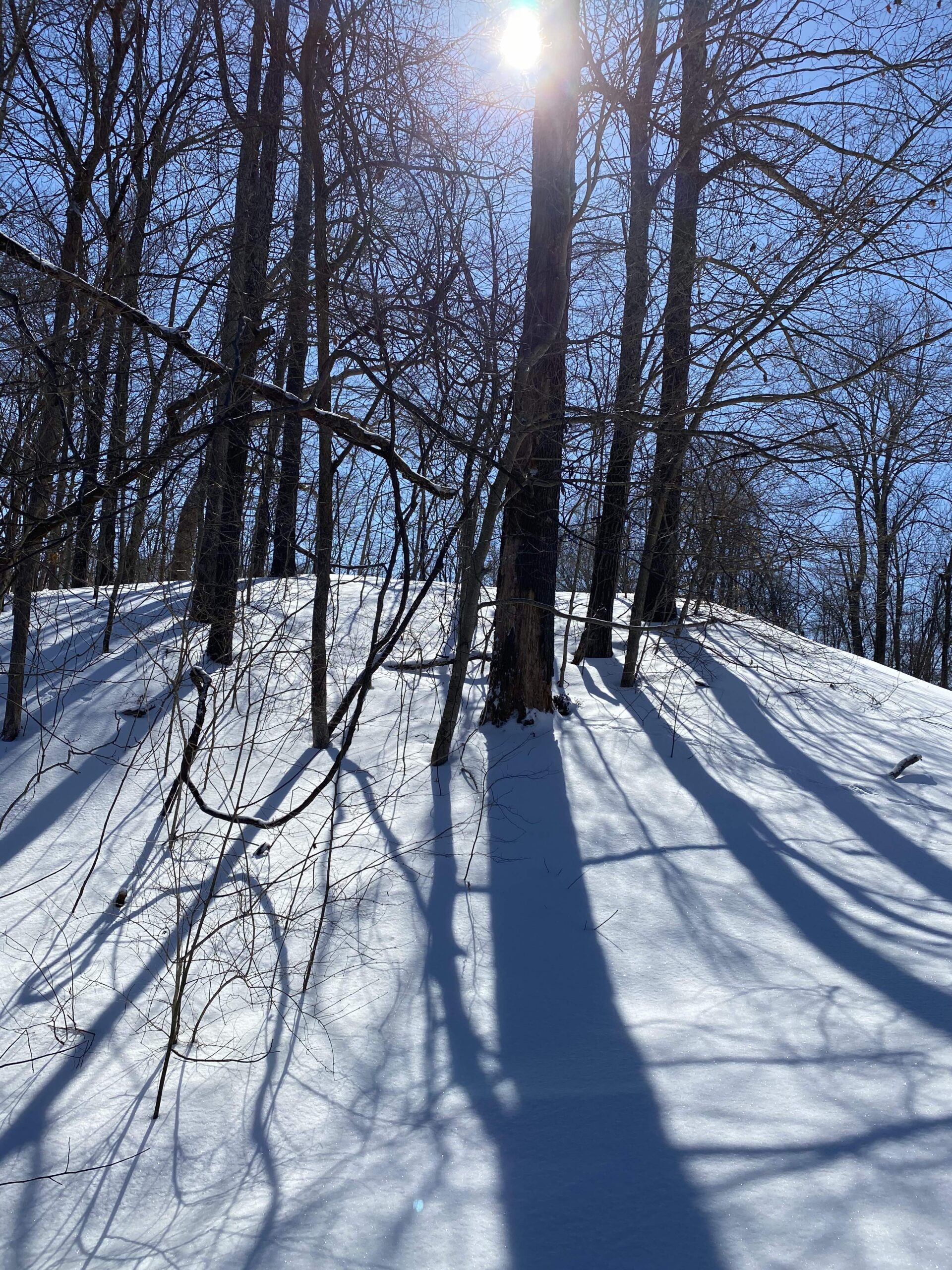 Thoughts on Elizabeth Gilbert's Cancellation of The Snow Forest Laura